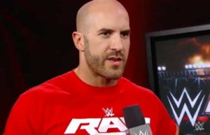 Cesaro Snubbed by WWE, Daniel Bryan Invites Him To SmackDown Again