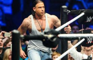 Tim Wiese Leaving WWE Developmental, Returning to European Football