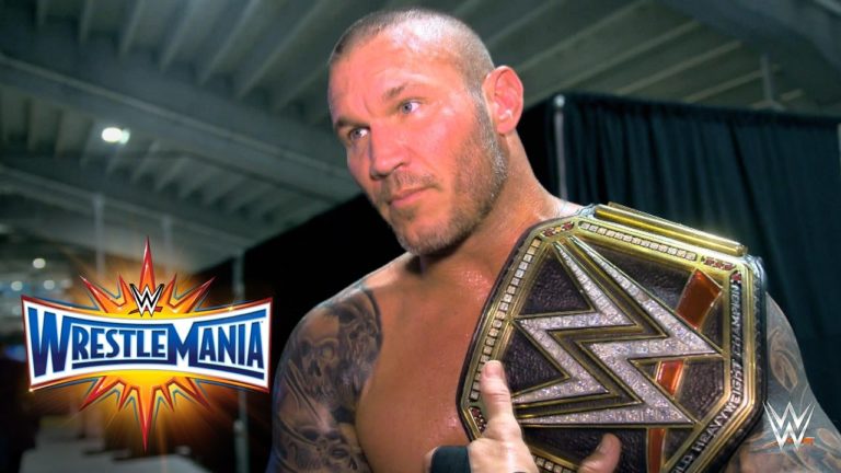 New WWE Champion Crowned At WrestleMania 33