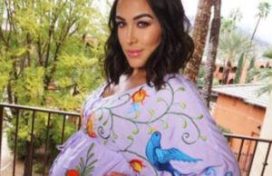 Brie Bella Baby Watch (Video), Brie Opens Up About Her Difficulty Conceiving