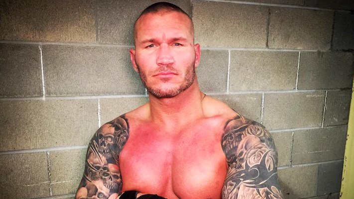 Randy Orton Buries Indy Wrestling: Matt Hardy, CM Punk & More React