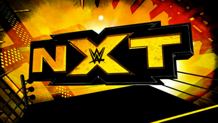 NXT Star Possibly Suffers Injury (Photos)