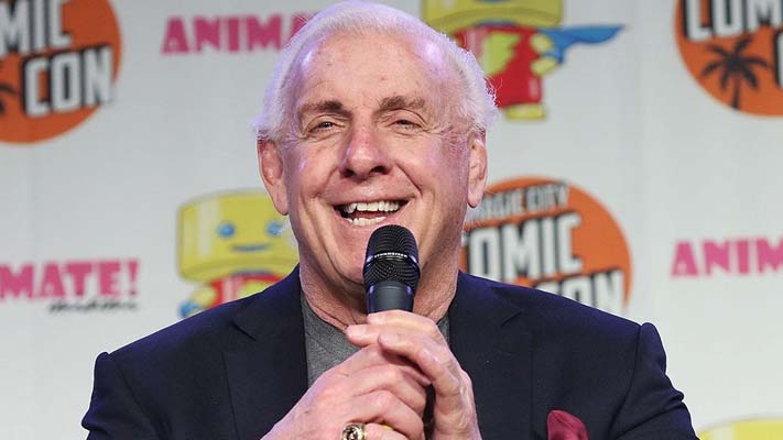 Ric Flair Reveals Scrapped Plans For The First SummerSlam Main Event