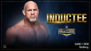 WWE Adds Merchandise for Hall of Fame Class