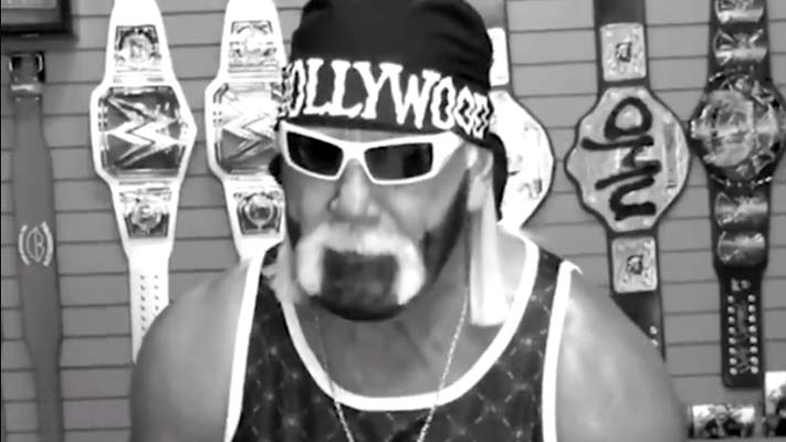 Hulk Hogan Announces nWo Too Sweet Tour