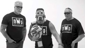 Hulk Hogan Says The nWo Would ‘Murder’ The Shield