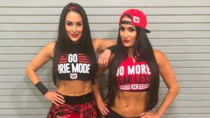 Nikki Bella Reveals What Forced Her To Retire