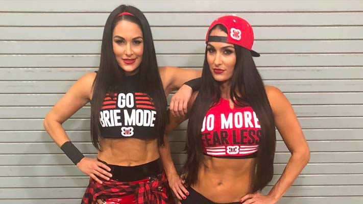 Brie Bella Discusses Her WWE Future, Scary Botched Dive