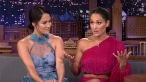 Nikki & Brie Bella Give Birth A Day Apart (Photos)