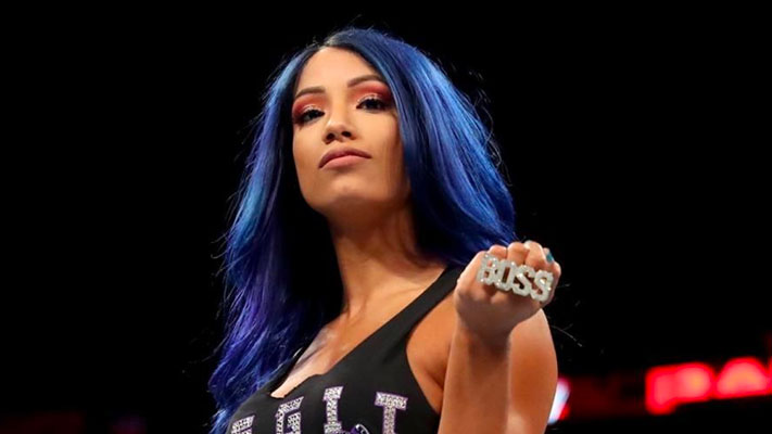 Sasha Banks Still Hoping For Second WWE Evolution PPV