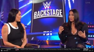 Bella Twins On Who Called Them About Hall Of Fame Induction