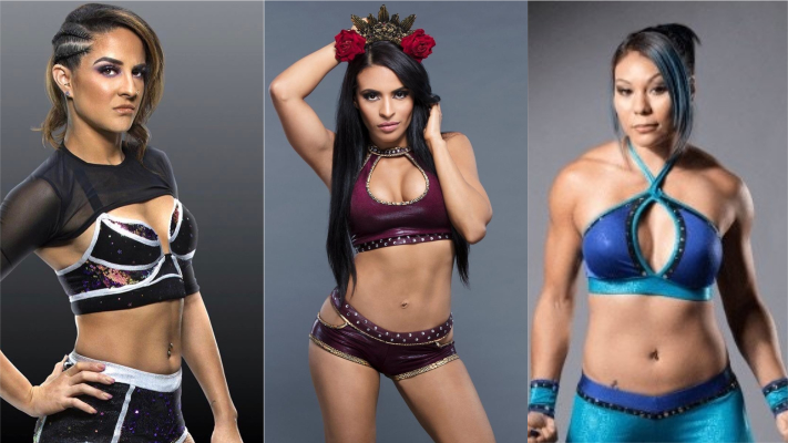 Dakota Kai, Zelina Vega, Mia Yim & Others Comment On Twitch Relationship