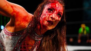 Britt Baker On Which WWE Stars Reached Out To Her After Unsanctioned Match