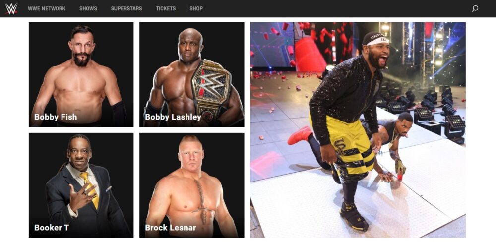 Brock Lesnar active