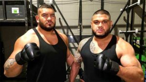 Authors of Pain Deny They Are Retired: “Ain’t Done Yet Bitches”