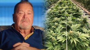 Jim Ross Opening Cannabis Farm In Oklahoma