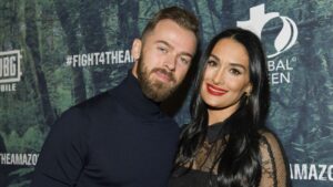 Nikki Bella And Artem Chigvintsev Reportedly Not Legally Married