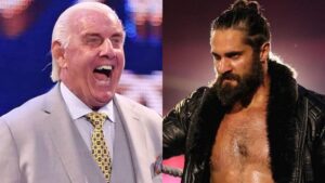 Ric Flair: Crazed Fan Clearly Got The Better Of Seth Rollins