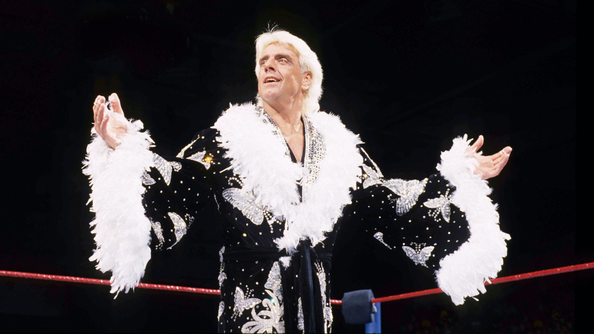 Ric Flair Recalls Recent Meeting With Vince McMahon