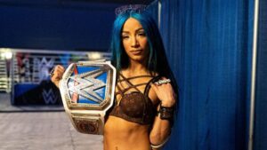 Watch: Sasha Banks’ Car Broken Into And Robbed