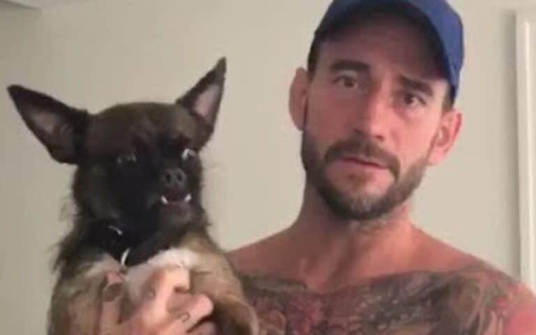 CM Punk Seemingly Confirms Report About his Dog Being Hurt in AEW All Out Brawl