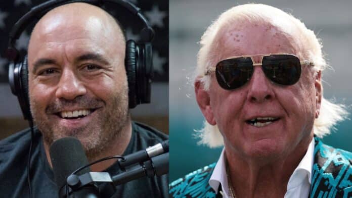 Joe Rogan & Ric Flair