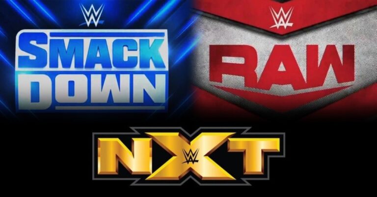 WWE to Feature More Crossover Between Brands Going Forward