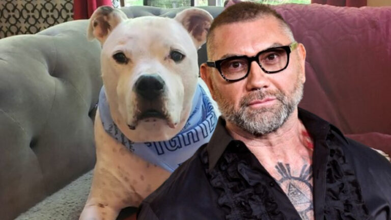 Batista Reveals His Pet Dog Has Completed Chemotherapy