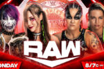 wwe women’s tag titles