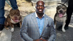 Titus O’Neil Rescues 2 Abandoned Pit Bulls While Donating School Supplies