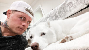 Cody Rhodes’ Dog Pharaoh Retiring From Wrestling Travel Due to Age