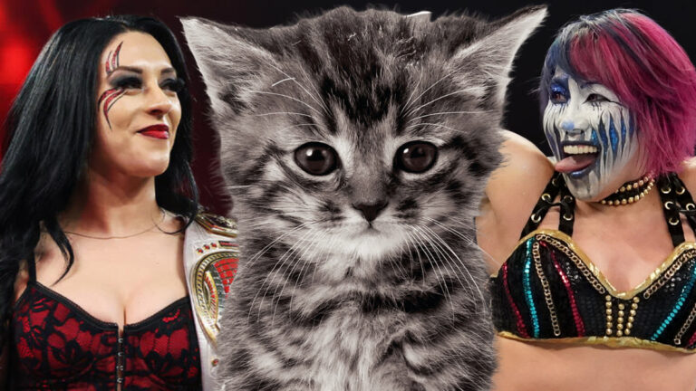 Asuka Is Living For Stephanie Vaquer Naming Pet Cat After Her