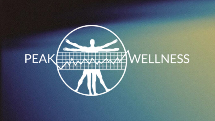 Peak Wellness Logo