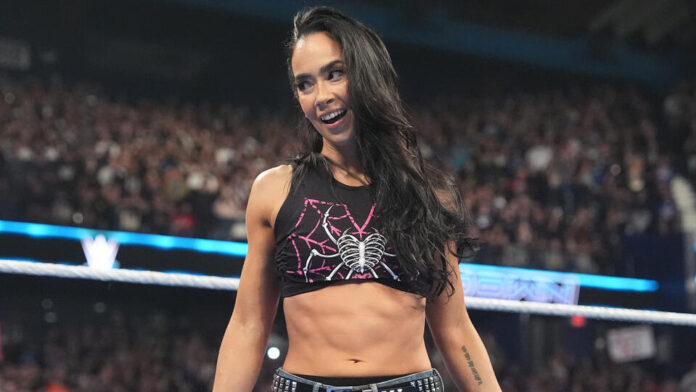 AJ Lee on SmackDown. Photo: WWE.com
