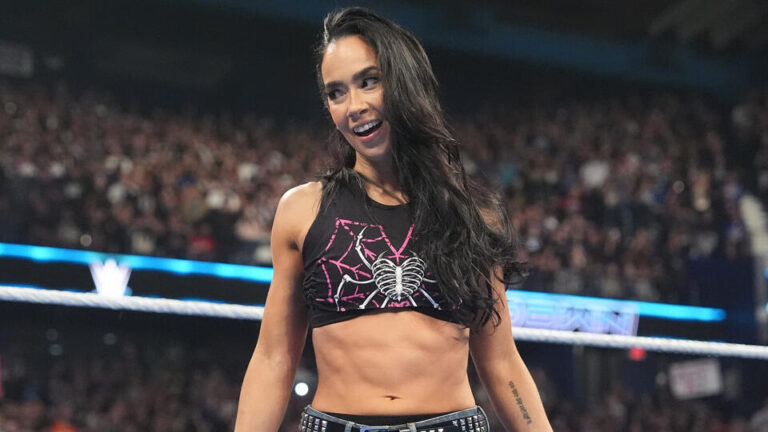 Wrestling World Reacts To AJ Lee WWE Return