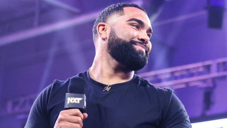 Watch: Former WWE Star Wins Boxing Debut In Seconds