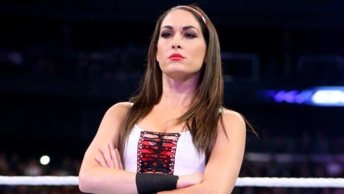 Brie Bella. Photo: WWE.com