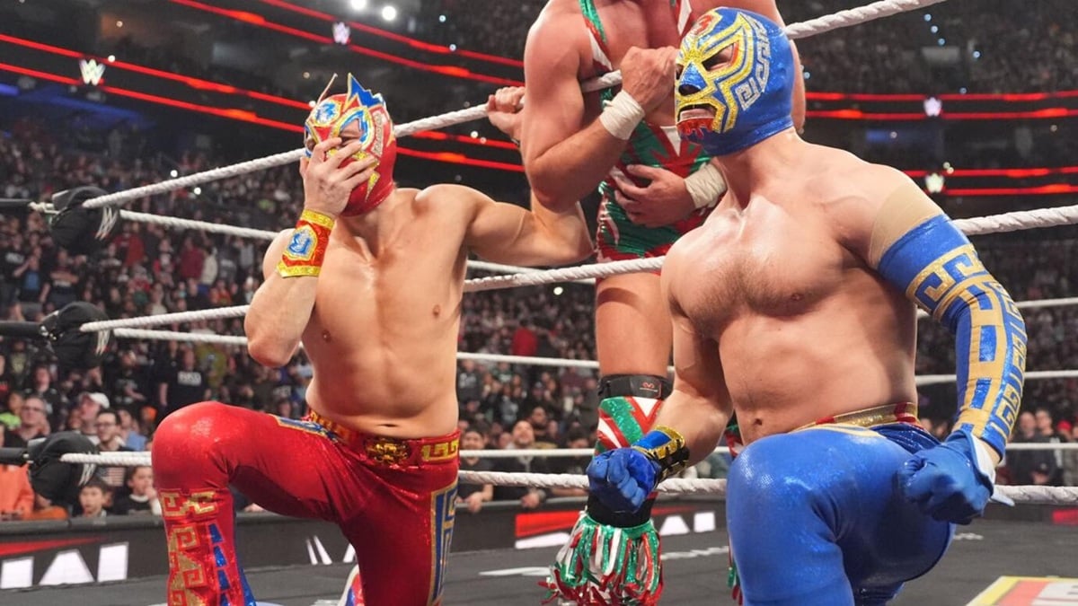 WWE Star Addresses ‘Weird’ Career Ride During Rare Appearance