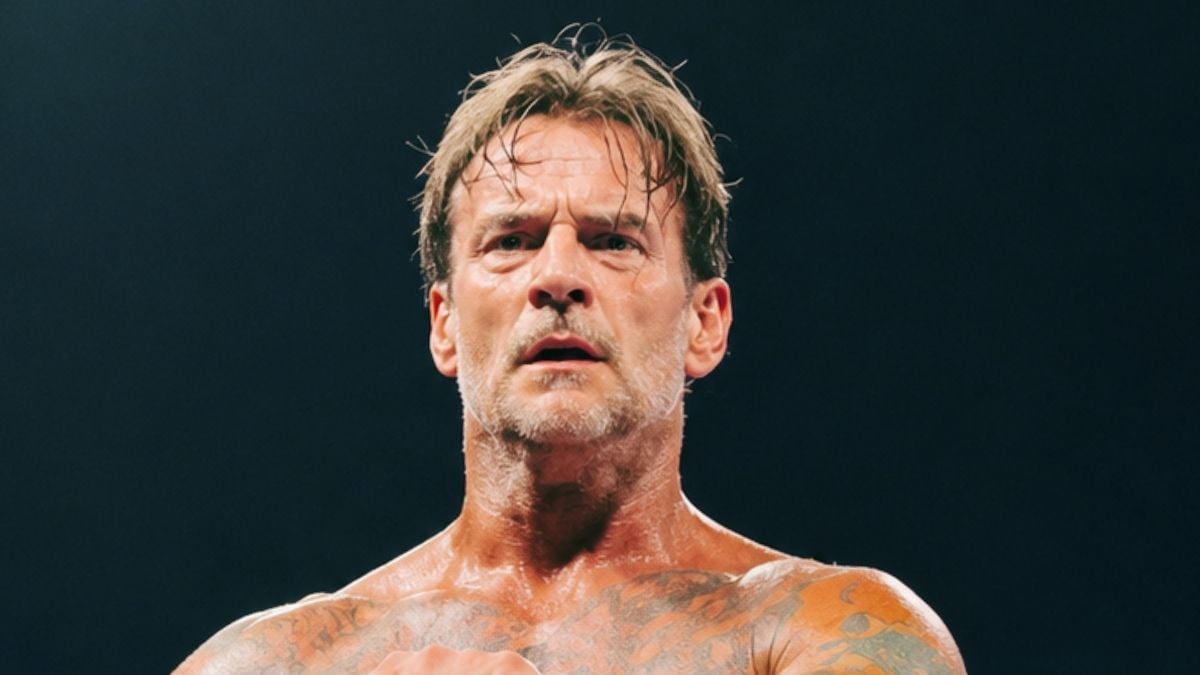 CM Punk Skinny Fat