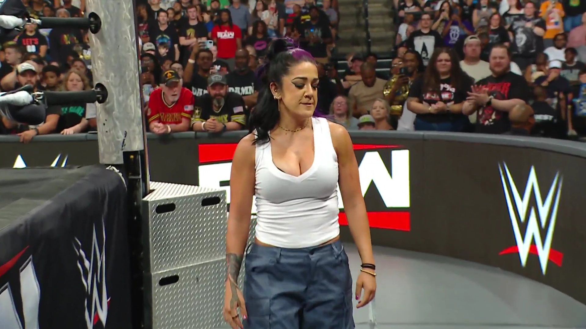 Bayley WWE Contract Claim Called ‘100% Wrong’