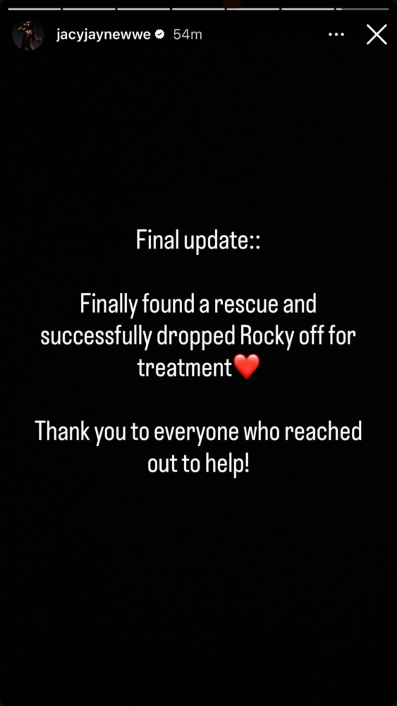 Jacy Jayne Instagram story confirming squirrel Rocky dropped at rescue
