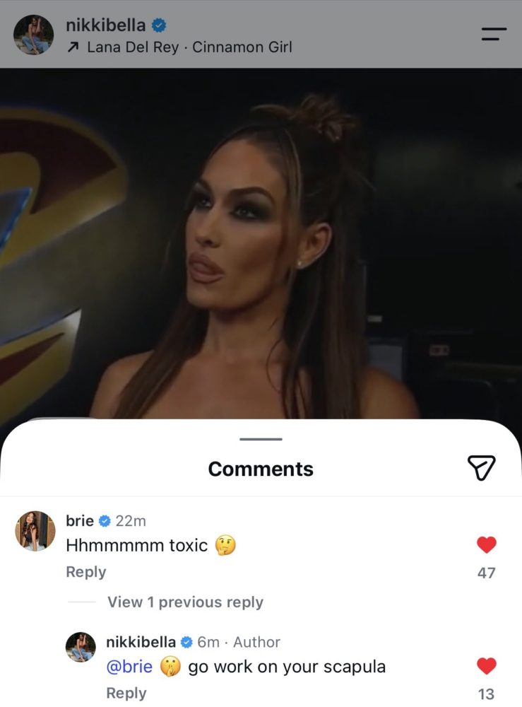 Nikki Bella Instagram comment telling Brie Bella to go work on her scapula