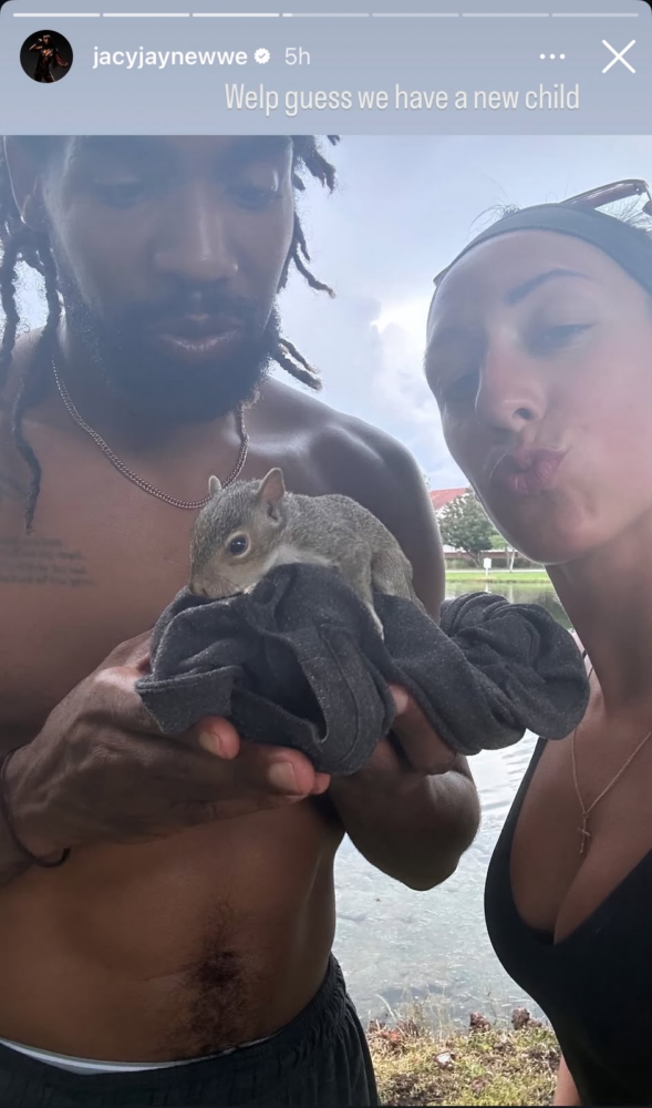Jacy Jayne Instagram story of rescued squirrel Rocky sleeping