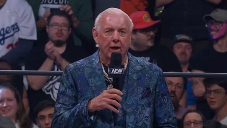 Ric Flair Needs Another Surgery After Fall